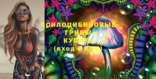 шишки Навашино