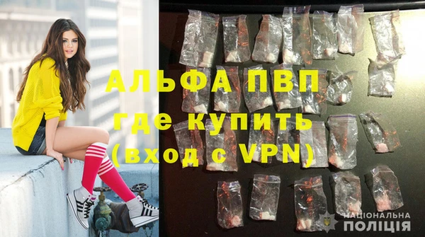 прущие грибы Ахтубинск