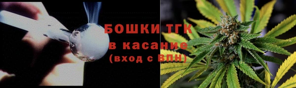 шишки Наволоки