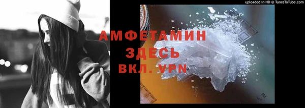 шишки Наволоки
