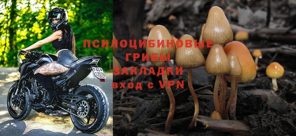 шишки Наволоки