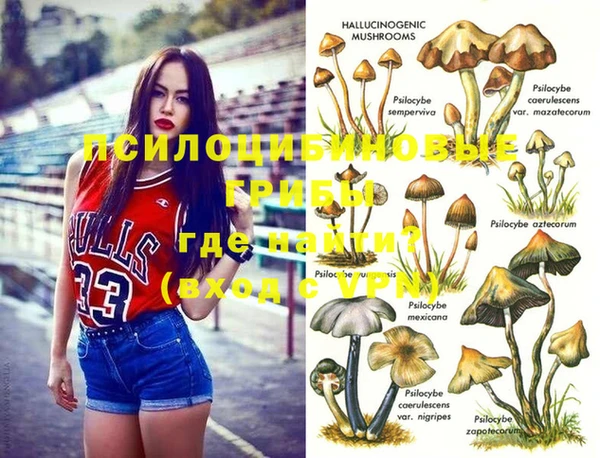 spice Надым