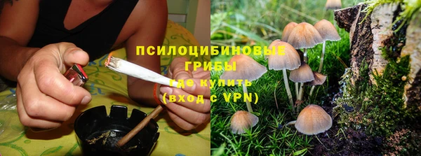 шишки Наволоки