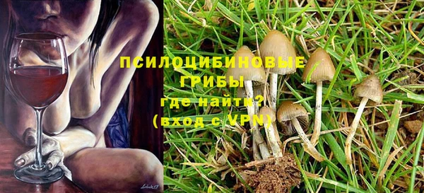 spice Надым