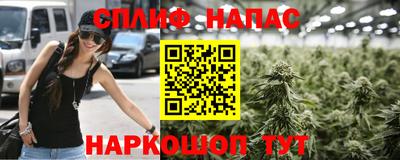 шишки Абакан