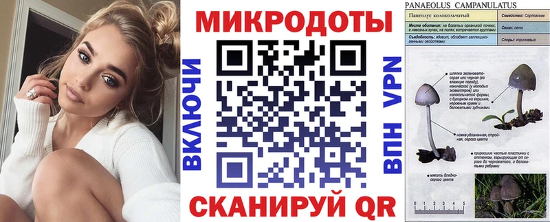 где продают   блэк спрут ТОР  Псилоцибиновые грибы Psilocybine cubensis  Зима 