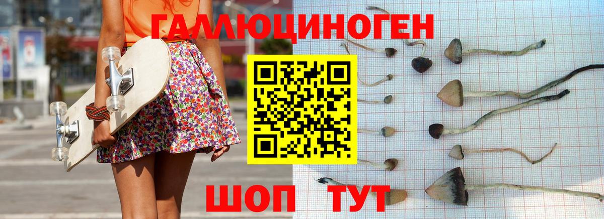 Зима  Псилоцибиновые грибы GOLDEN TEACHER  Вход с VPN  Псилоцибиновые грибы Magic Shrooms 