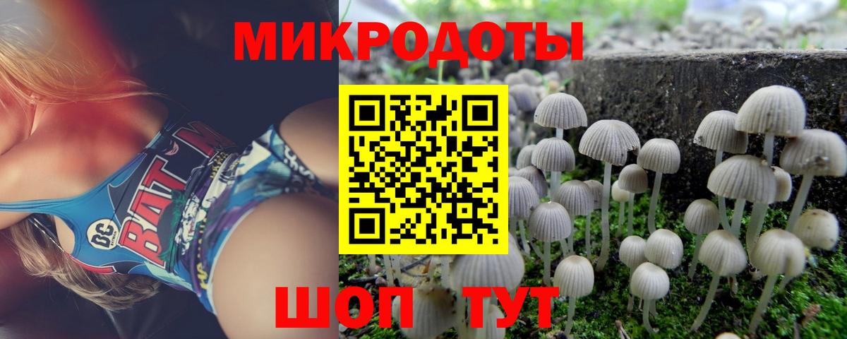 Галлюциногенные грибы прущие грибы Зима