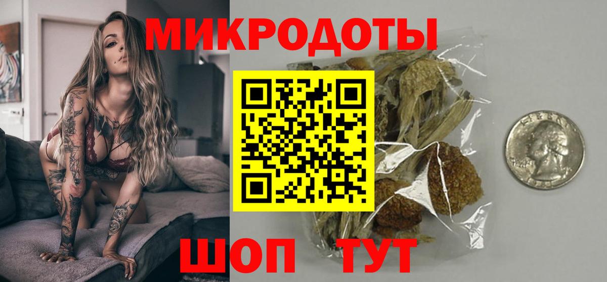 Псилоцибиновые грибы Cubensis Зима