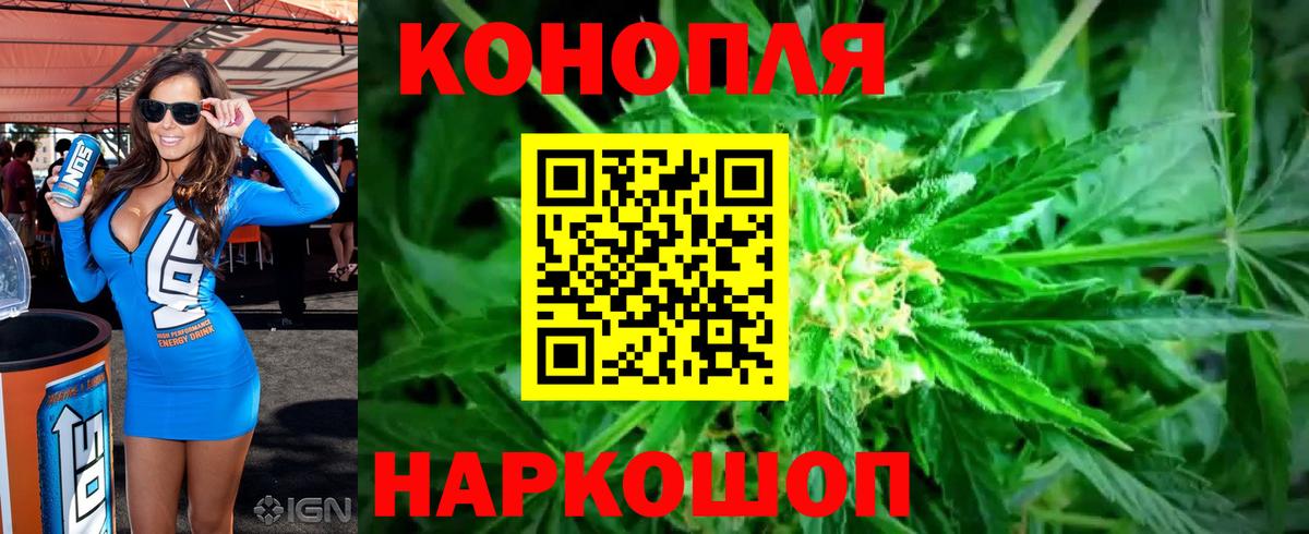 Бошки Шишки гибрид Зима