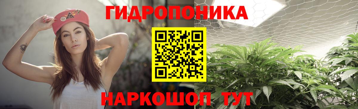 Конопля White Widow Зима